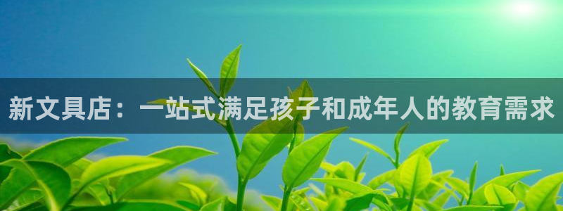 龙八国际游戏视频：新文具店：一站式满足孩