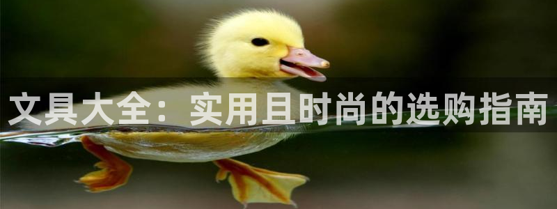 龙八国际官方网：文具大全：实用且时尚的选