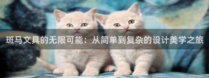 龙八国际手机版：斑马文具的无限可能：从简