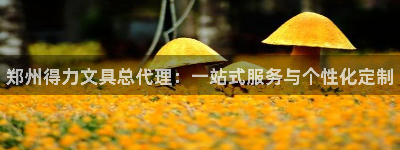 龙八国际什么游戏给钱：郑州得力文具总代理