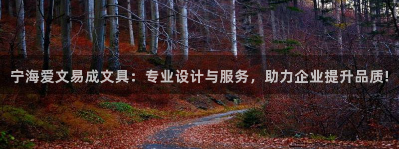 龙八国际黑吗：宁海爱文易成文具：专业设计