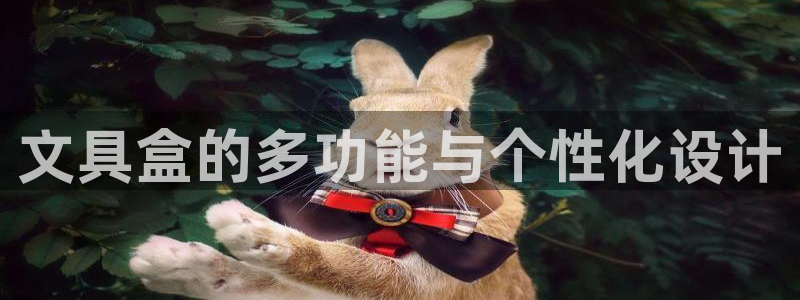 龙八国际网页long123：文具盒的多功