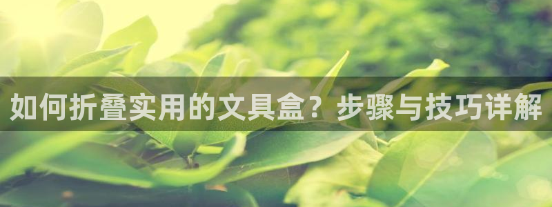 龙八国际娱乐官网app：如何折叠实用的文
