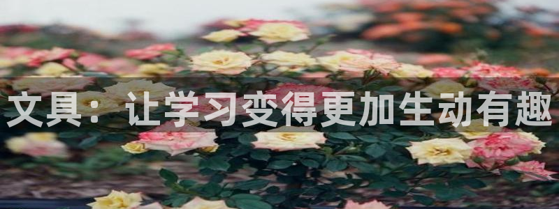 龙八国际手机版首页：文具：让学习变得更加