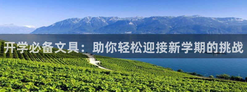 龙八国际app下载官网：开学必备文具：助