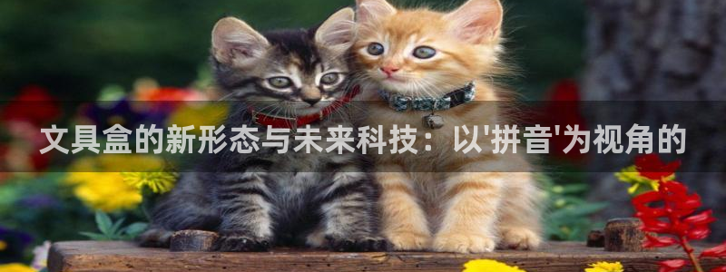 怎么举报龙八国际