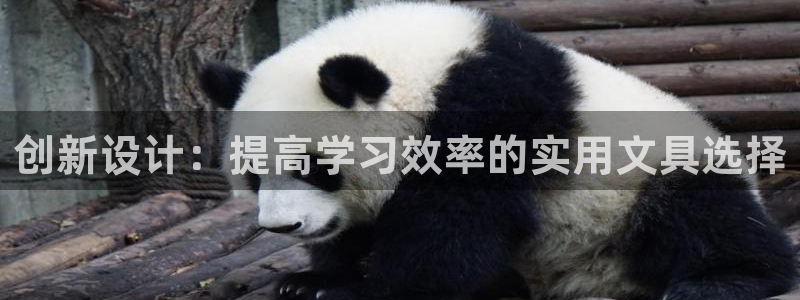 龙八国际客户端下载安卓：创新设计：提高学