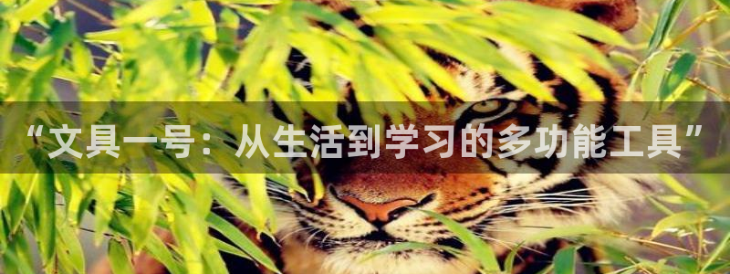 龙八国际服官网下载：“文具一号：从生活到