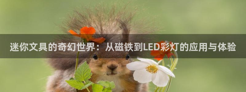龙八国际娱乐官网下载：迷你文具的奇幻世界