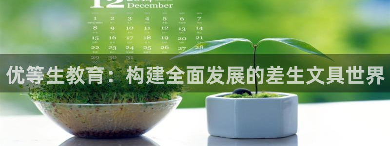 龙八国际国际娱乐官网：优等生教育：构建全