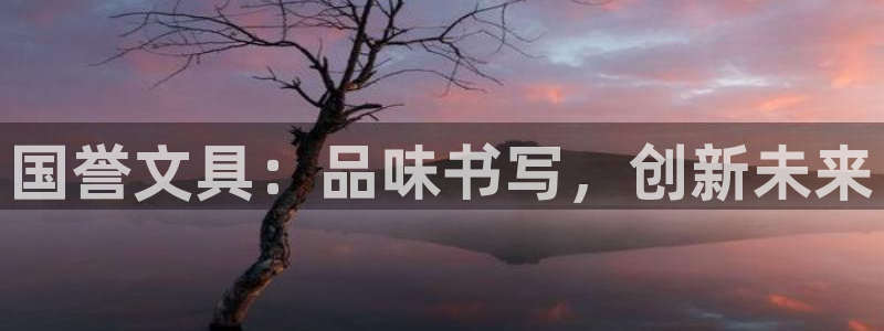 龙八国际害死多少人：国誉文具：品味书写，