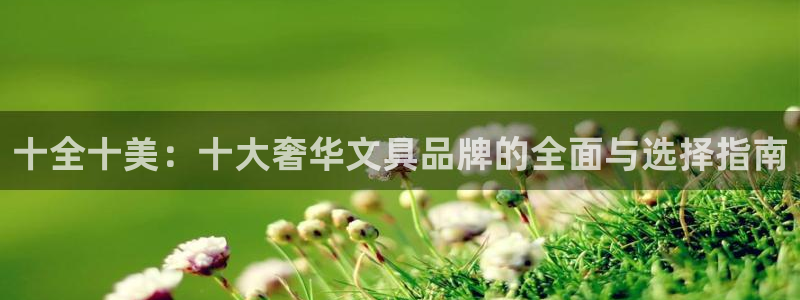 龙八国际登官网：十全十美：十大奢华文具品
