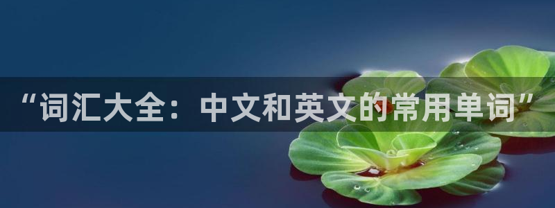 龙八国际官方旗舰店：“词汇大全：中文和英