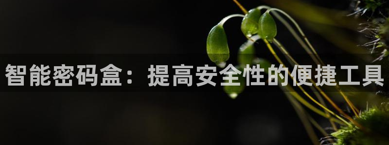 龙八国际官方娱乐网站com：智能密码盒：