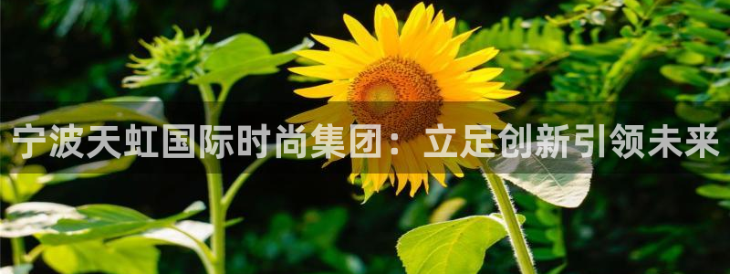 龙八国际娱乐地：宁波天虹国际时尚集团：立