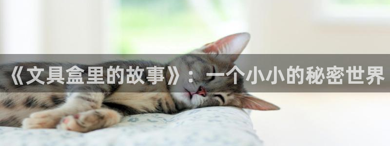 l龙八国际网页登录：《文具盒里的故事》：