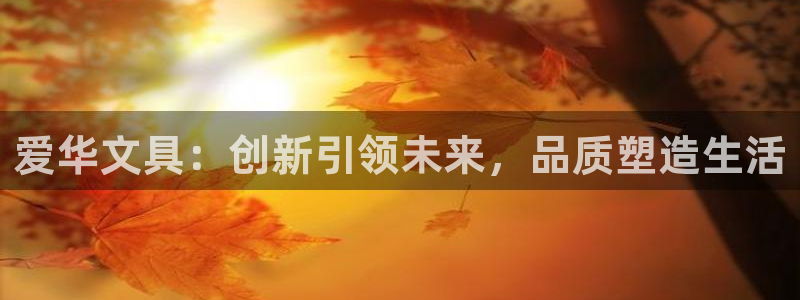 龙八国际城：爱华文具：创新引领未来，品质