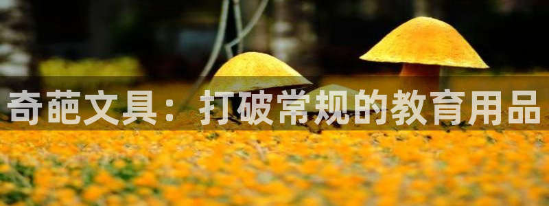龙八国际服官网站：奇葩文具：打破常规的教