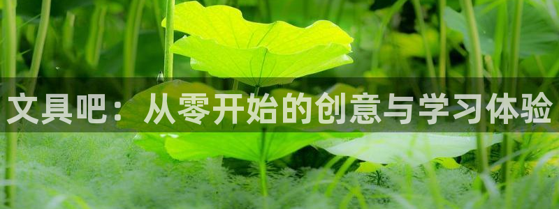 龙八国际app客户端下载不了：文具吧：从