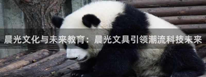 龙八国际娱乐老板是谁：晨光文化与未来教育