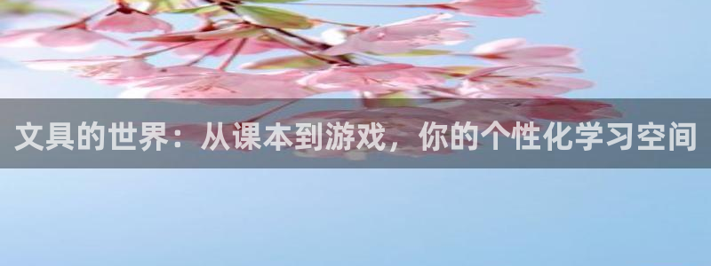 龙八国际在哪里啊：文具的世界：从课本到游