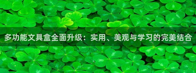 龙八国际mg老虎机：多功能文具盒全面升级