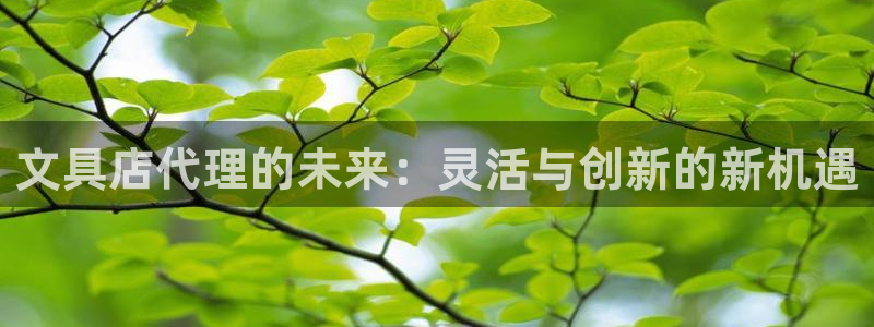 龙八国际手机登录网址：文具店代理的未来：