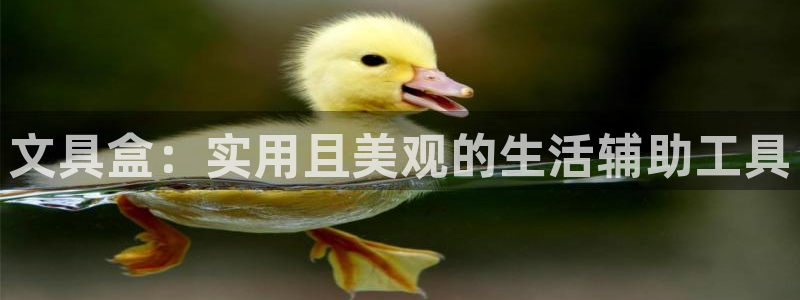 龙八国际技巧：文具盒：实用且美观的生活辅