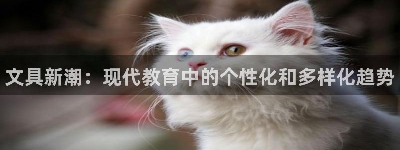龙 八国际：文具新潮：现代教育中的个性化