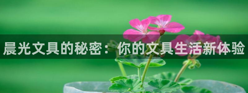 龙八国际免费下载：晨光文具的秘密：你的文