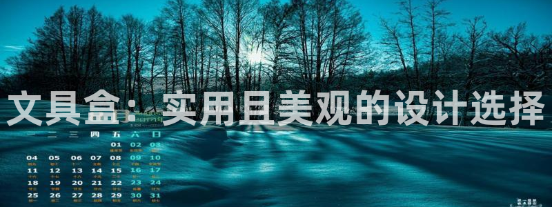 龙八国际在哪里啊：文具盒：实用且美观的设