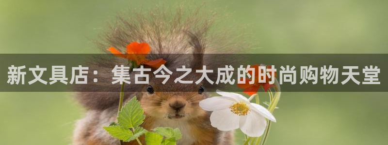 龙八国际客户端下载安装：新文具店：集古今