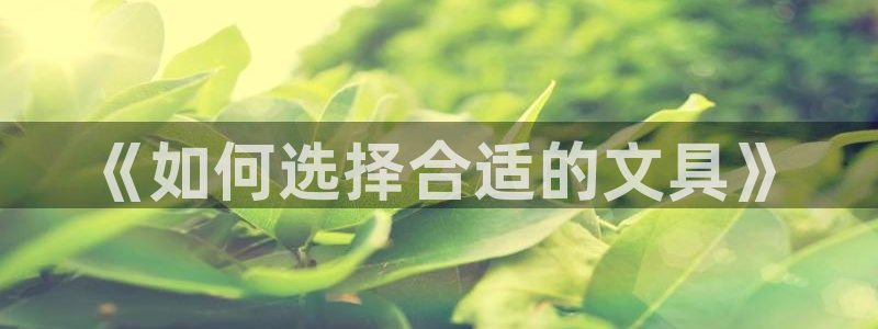 龙八国际登录注册：《如何选择合适的文具》