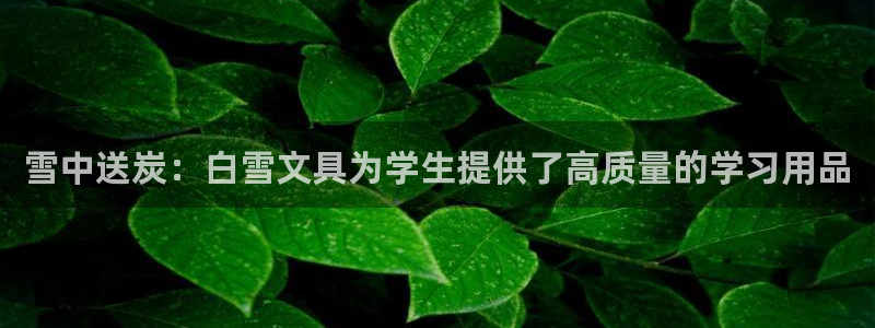 龙八国际网址是什么：雪中送炭：白雪文具为