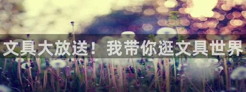 龙八国际黑钱：文具大放送！我带你逛文具世