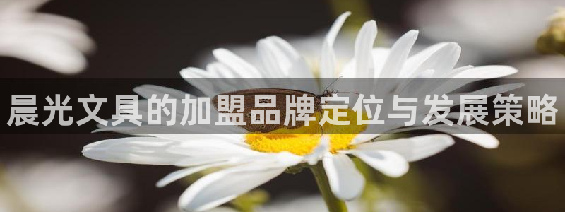 龙八国际app下载安装：晨光文具的加盟品