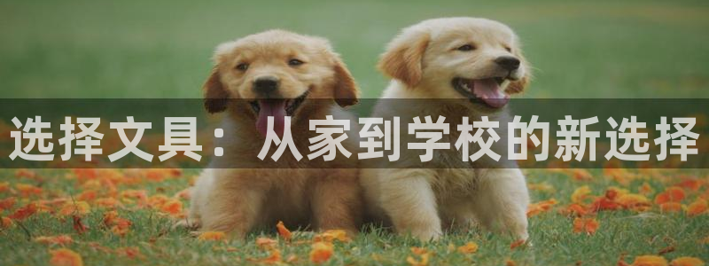 龙八国际pt老虎机官网：选择文具：从家到
