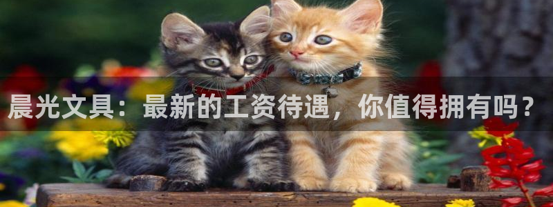 龙八国际平台手机版：晨光文具：最新的工资