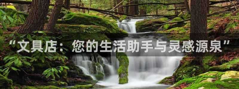 龙八国际官方娱乐网站com：“文具店：您