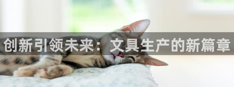 龙八国际官网进入：创新引领未来：文具生产
