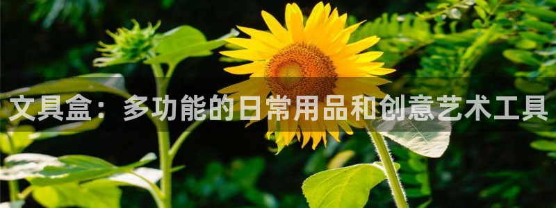 www.龙八国际：文具盒：多功能的日常用