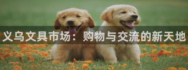 龙八国际网页版本：义乌文具市场：购物与交
