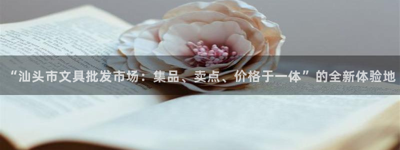 龙八国际苹果下载地址：“汕头市文具批发市