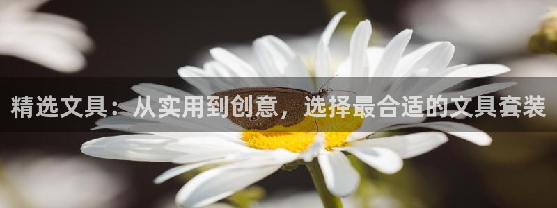 龙八国际官网下载：精选文具：从实用到创意