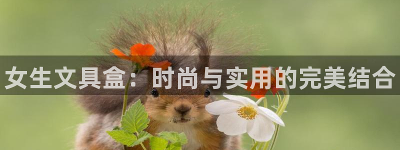 龙八国际官方首页：女生文具盒：时尚与实用