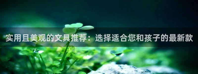 龙八国际app下载官网：实用且美观的文具