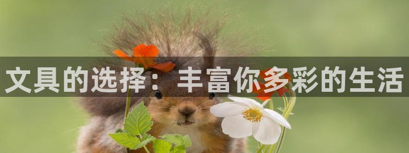 龙八国际娯乐城：文具的选择：丰富你多彩的
