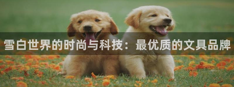龙八国际娱乐地：雪白世界的时尚与科技：最