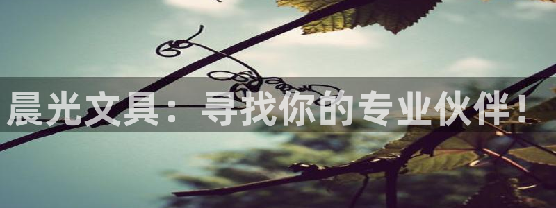 龙八国际手机端官网：晨光文具：寻找你的专