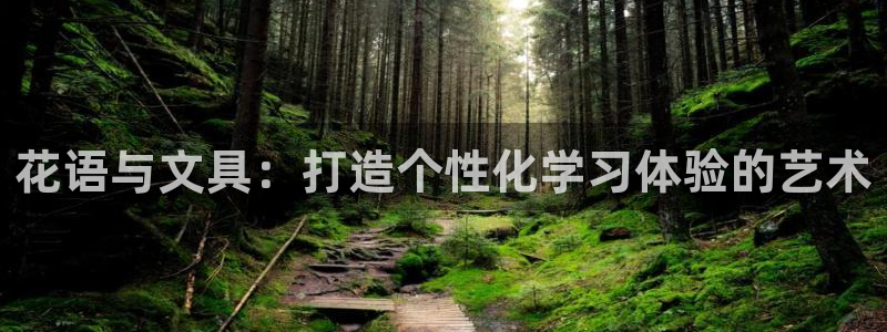 龙八国际老虎：花语与文具：打造个性化学习